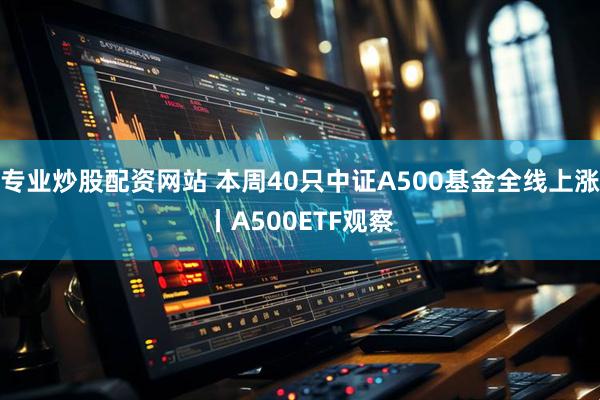 专业炒股配资网站 本周40只中证A500基金全线上涨丨A500ETF观察